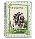 ハチミツとクローバー DVD-BOX
