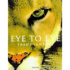 Eye to Eye (Jumbo)