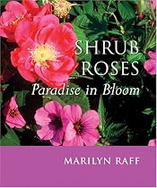 Shrub Roses: Paradise in Bloom