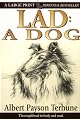 Lad: A Dog