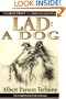Lad: A Dog