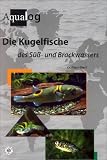 Produkt-Bild: Die Kugelfische des S&uuml;&szlig;- und Brackwassers