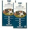 12 MONTH K9 ADVANTIX Teal (for dogs 11-20lbs)