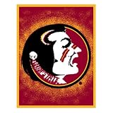Florida State Seminoles (FSU) 48x60 Focus Series Acrylic Triple Woven Blanket Throw