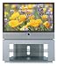 Samsung HLN437W 43-Inch Widescreen Projection HDTV with DLP Technology