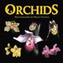 Orchids
