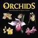 Orchids