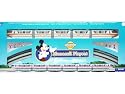 Disney Theme Parks Battery-operated Monorail Playset