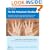 Web Professionals Handbook