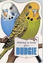 Getting to Know Your Budgie (Getting to Know Your...)