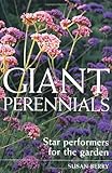 Giant perennials