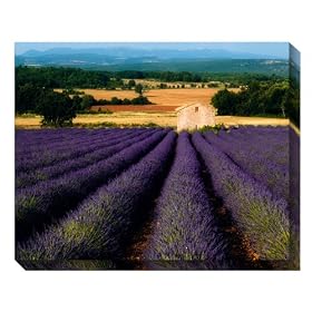 Blue Garden Designs #63826OD Cabanon Outdoor Canvas Art, 40-inch-by-30-inch by 