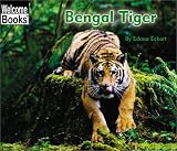 Books : Bengal Tiger (Welcome Books)