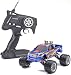 Carson 407021 - Mini Bull 4 WD RTR