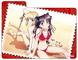 ����饯�����ǥå����������쥯�����MAX ����� Fate/stay night UNLIMITED BLADE WORKS �ֱ�� �ۡ�