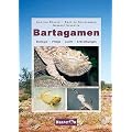 Bartagamen: Biologie, Pflege, Zucht, Erkrankungen