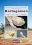 Bartagamen: Biologie, Pflege, Zucht, Erkrankungen