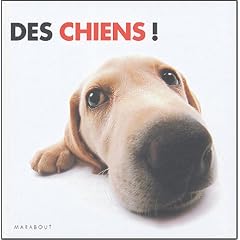 Des chiens !