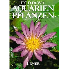 Aquarienpflanzen