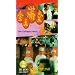 The Chinese Feast [VHS]