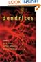 Dendrites