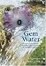 Gem Water: How to Prepare and Use Over 130 Crystal Waters for Therapeutic Treatments
