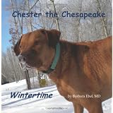 Chester the Chesapeake: Wintertime