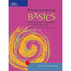 Program Basics Using Micr Vis (Basics Series (Boston, Mass.).)