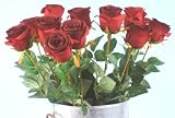 Review SIL  / Large Deluxe Single Stem Red Rose 24 per pack (FL0202) MTGL