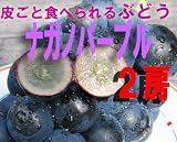 長野県イチオシのぶどう☆信州・中野市産 ナガノパープル２房（約１ｋｇ）