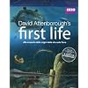 First Life - L'Origine Della Vita