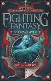 Stormslayer book cover image