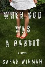 When God Was a Rabbit