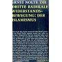Die dritte radikale Widerstandsbewegung: der Islamismus