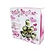 Kole Imports OB737 Decorative Cupcake Stand