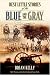 Best Little Stories of the Blue and Gray