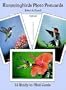 Hummingbirds Photo Postcards: 24 Ready-to-Mail Cards (Card Books)