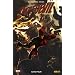 Daredevil, Tome 17 : Sans peur