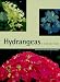 Hydrangeas: A Gardeners' Guide