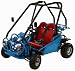 125cc 2 Seater, Sahara Go Kart