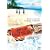 Boys of Lost Island [DVD] [Region 1] [US Import] [NTSC]