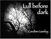 Lull Before Dark