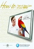 How To Train & Take Care of Your Bird