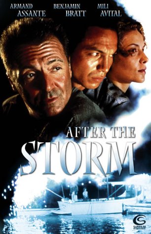 After the Storm