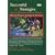 Successful Fly Fishing Strategies