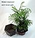 Self Watering Glazed Ceramic Pot - Red - 6 3/8