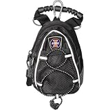 Illinois Fighting Illini NCAA Mini Day Pack