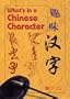What's in a Chinese Character