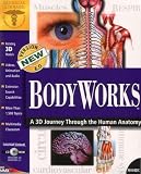 Bodyworks 6.0