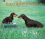 For the Love of Dachshunds 2007 Deluxe Calendar